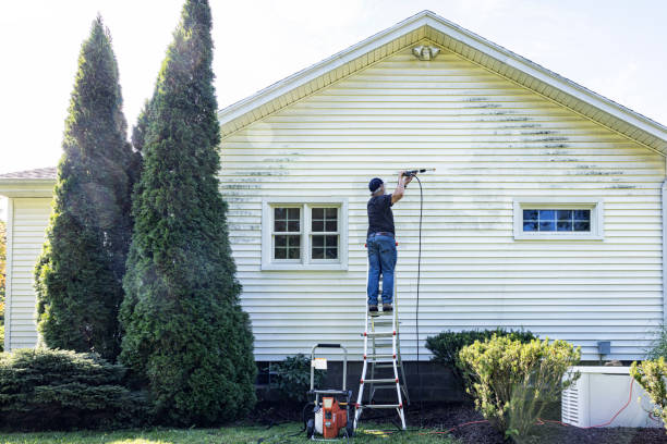 Best House Pressure Washing  in Tekamah, NE